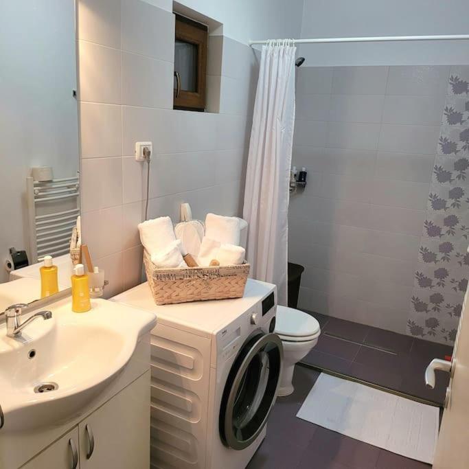 蒂米什瓦拉Apartament Individual La Casa Parter公寓 外观 照片