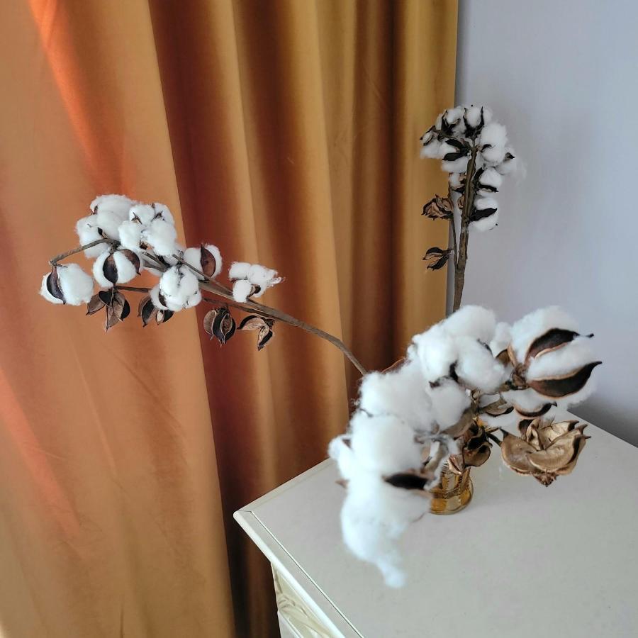 蒂米什瓦拉Apartament Individual La Casa Parter公寓 外观 照片